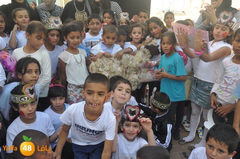 ad7a 3eed lud school 111 (53).JPG